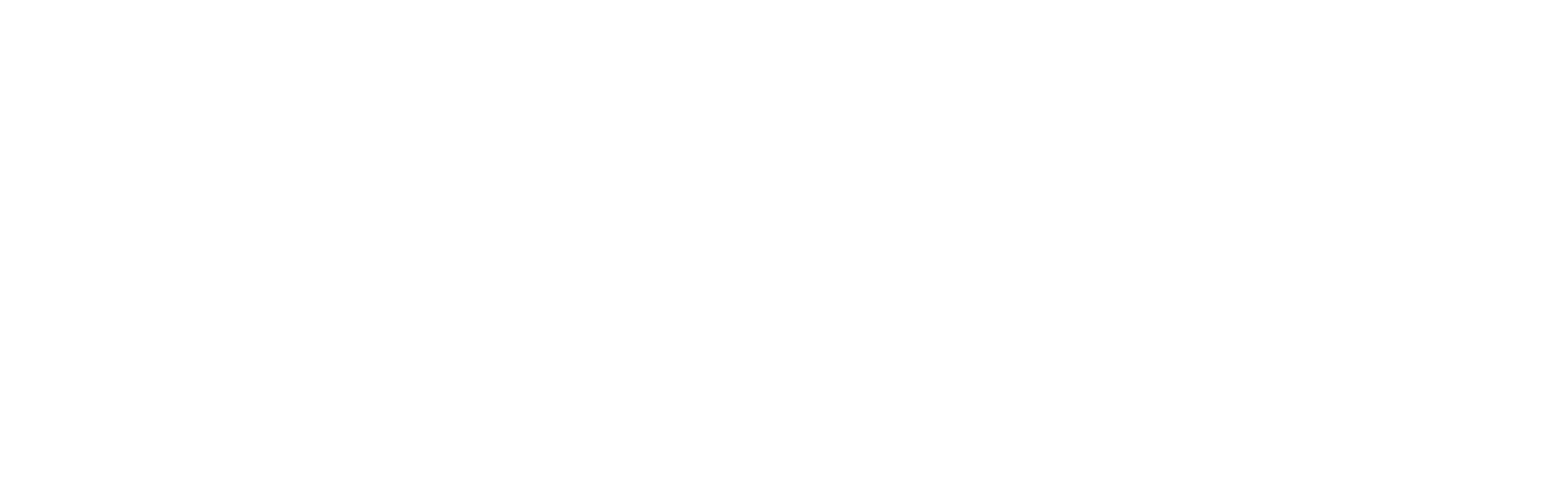 Lecnik_logo